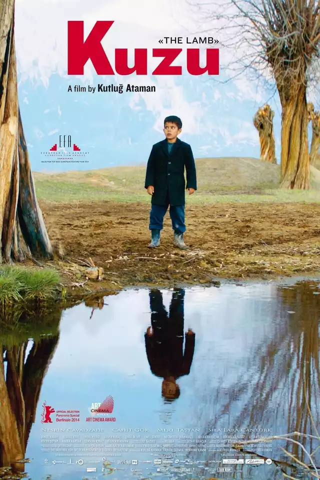 movie vertical poster fallback