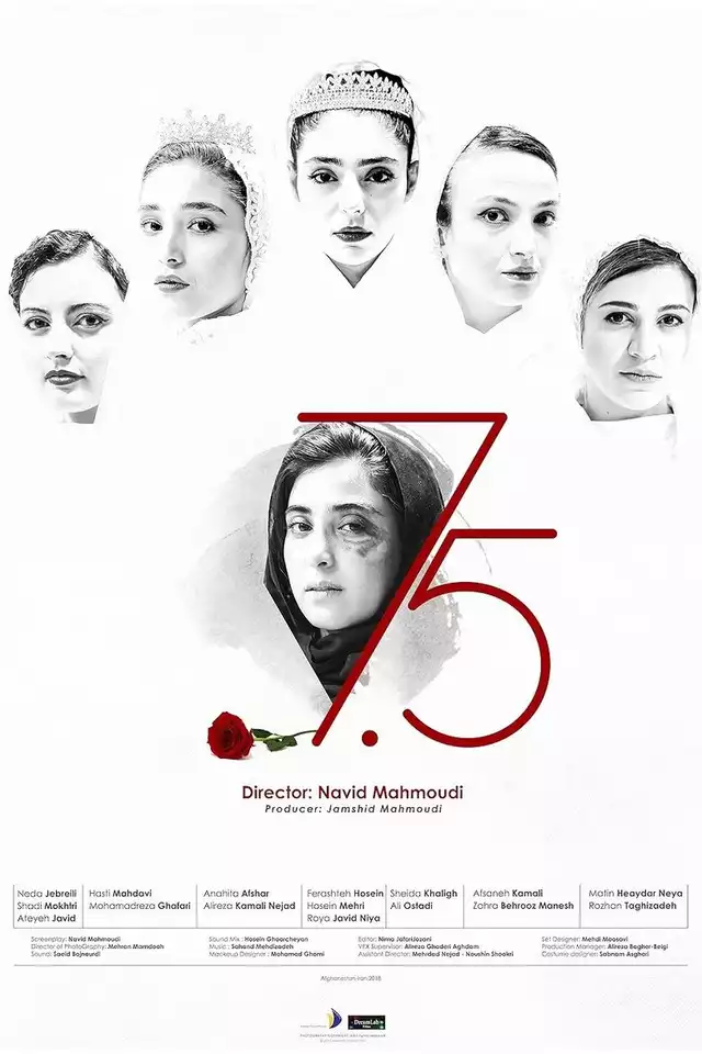 movie vertical poster fallback