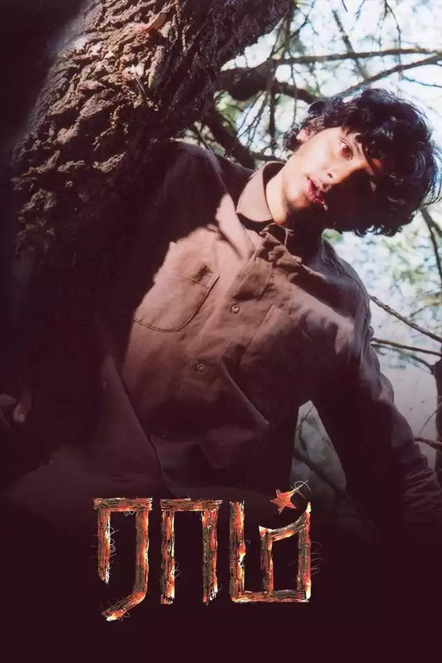 movie vertical poster fallback