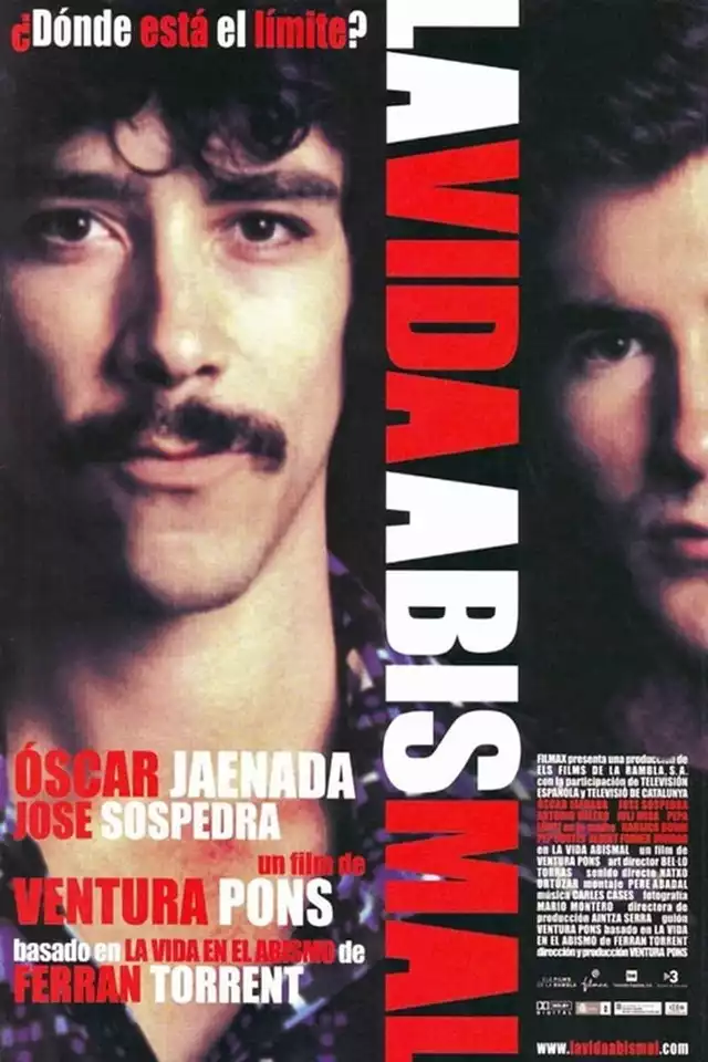 movie vertical poster fallback