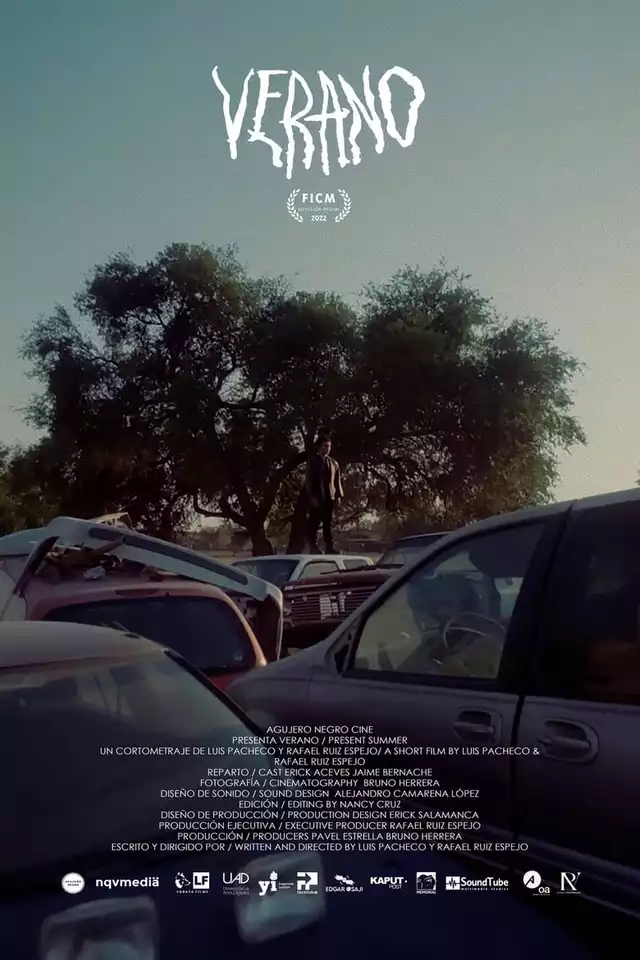 movie vertical poster fallback