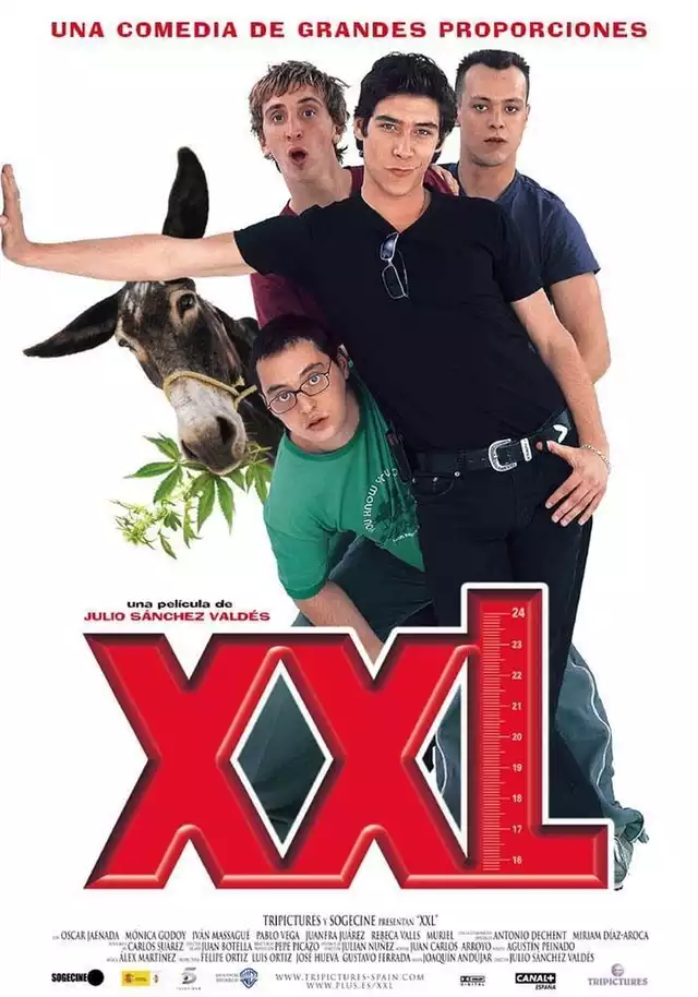 movie vertical poster fallback