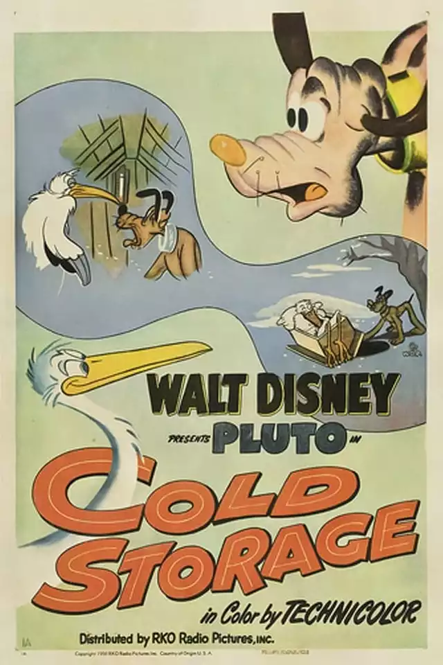 movie vertical poster fallback