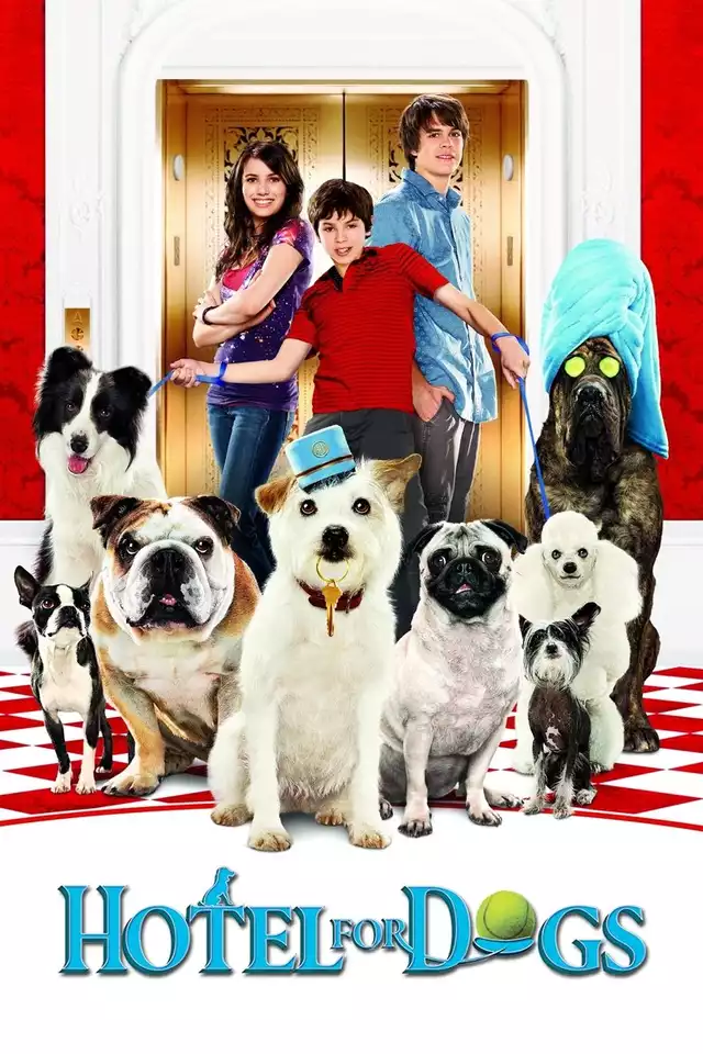 movie vertical poster fallback