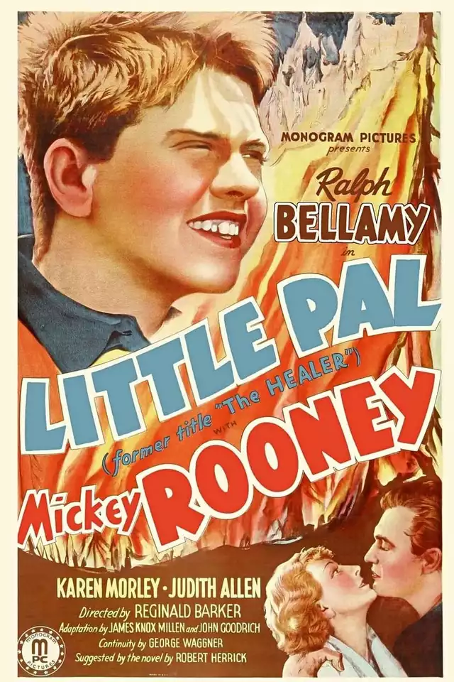 movie vertical poster fallback