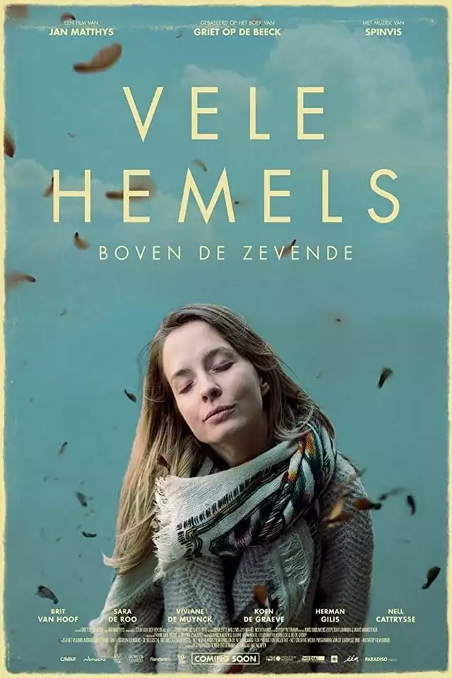 movie vertical poster fallback