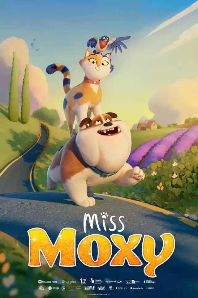 movie vertical poster fallback