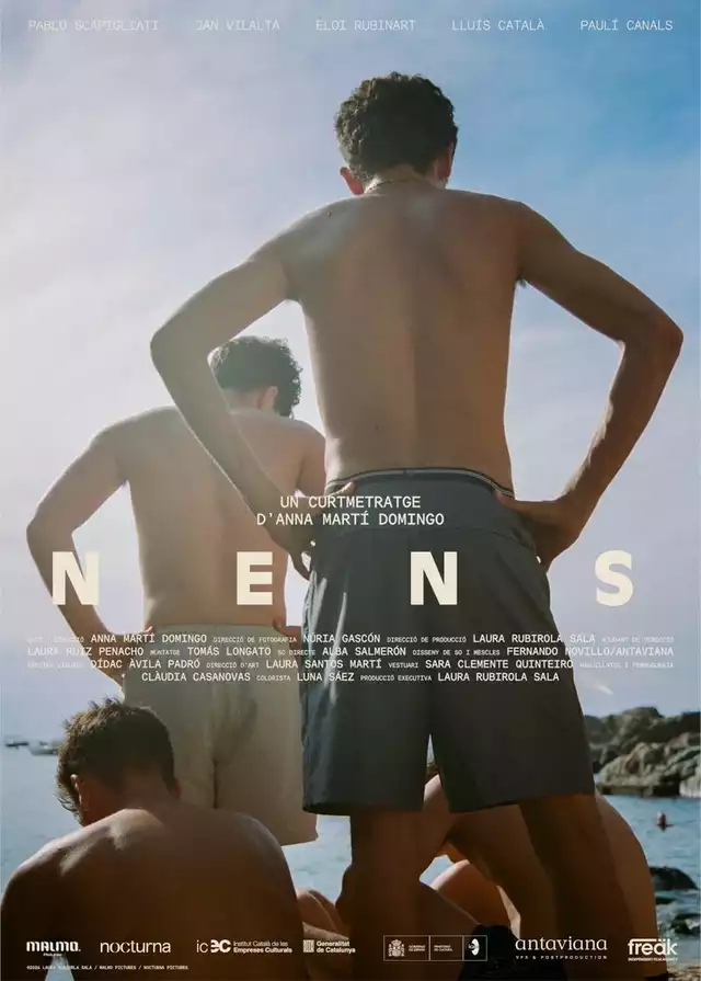 movie vertical poster fallback