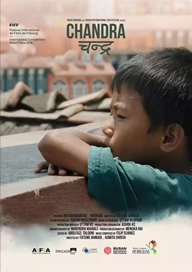 movie vertical poster fallback