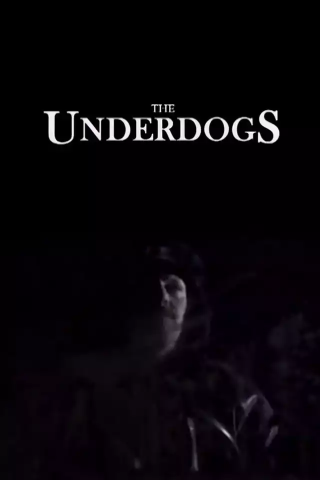 movie vertical poster fallback