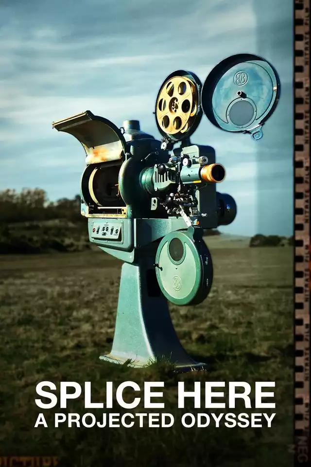 movie vertical poster fallback