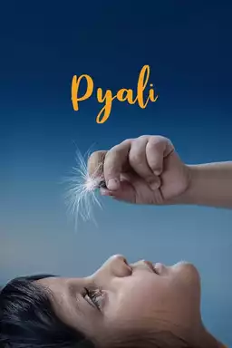 Pyali