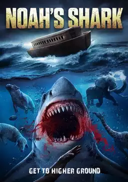 Noah’s Shark