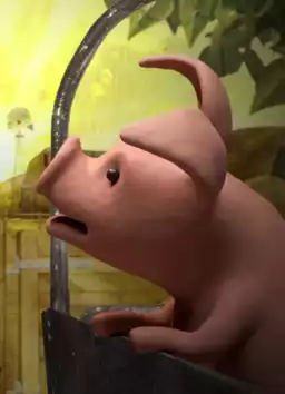 A Pig's Tail