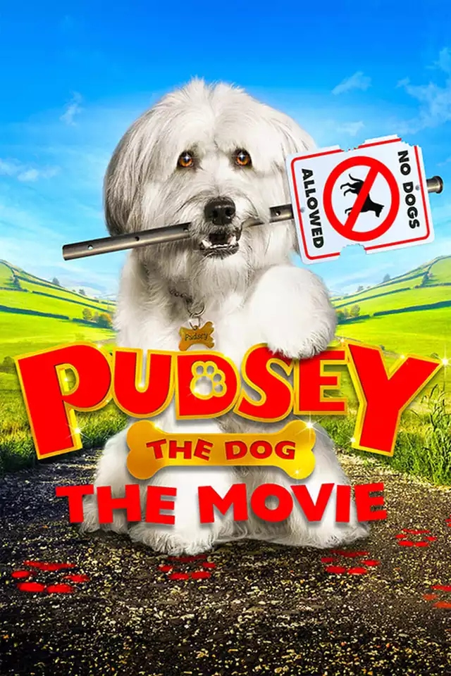 movie vertical poster fallback