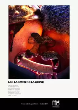The Seine's Tears