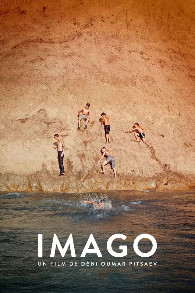 movie vertical poster fallback