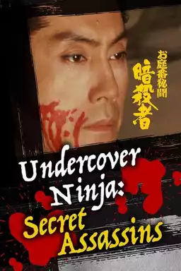 Undercover Ninja: Secret Assassins