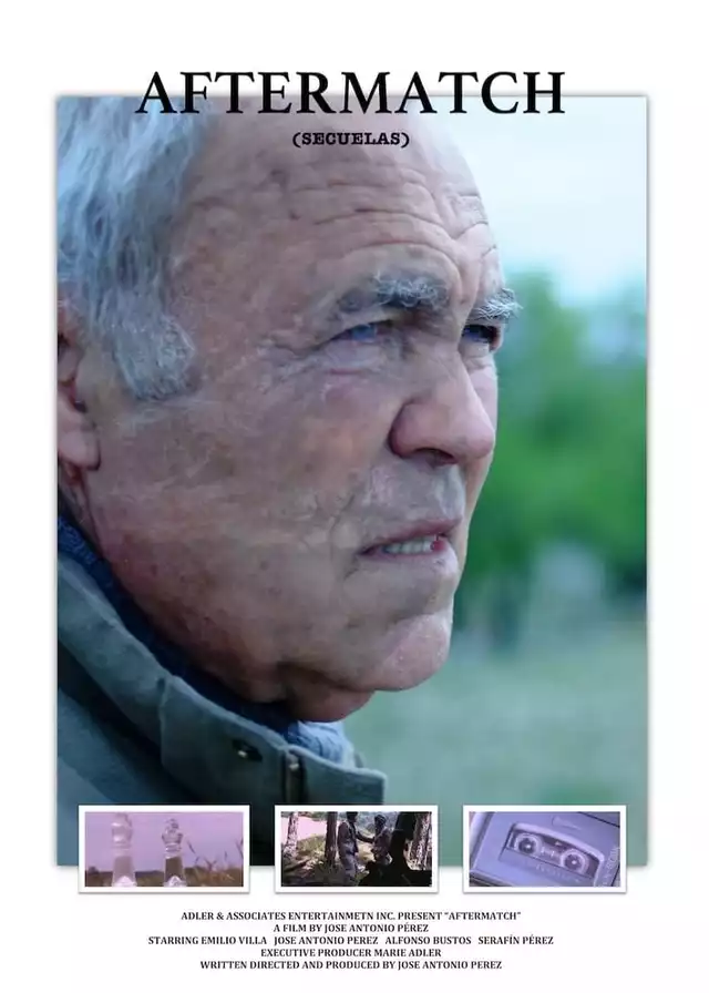 movie vertical poster fallback