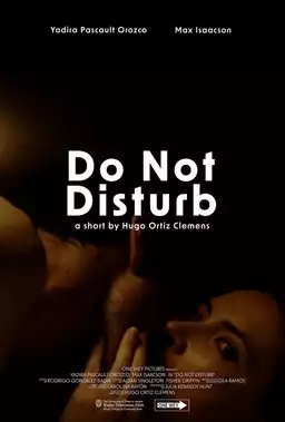 Do Not Disturb