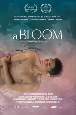 A Bloom