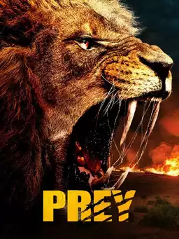 Prey