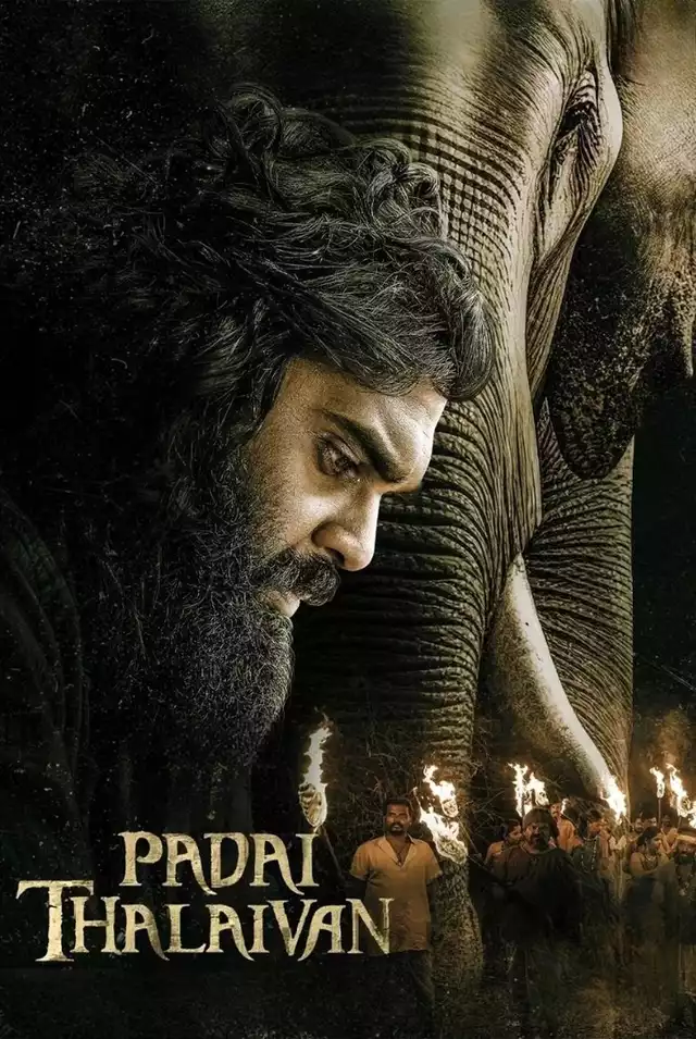 movie vertical poster fallback