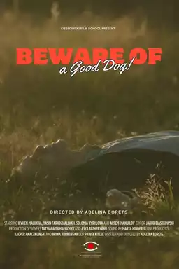 Beware of a Good Dog