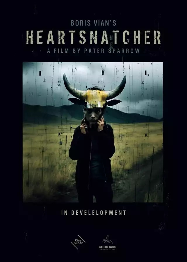 movie vertical poster fallback