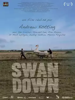 Swandown