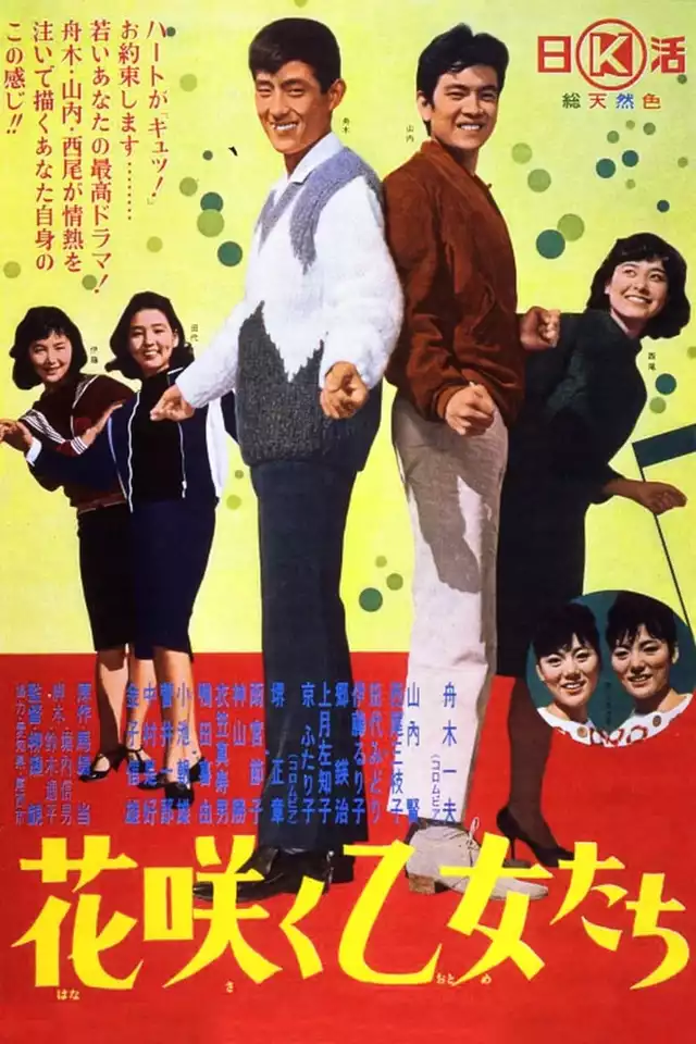 movie vertical poster fallback