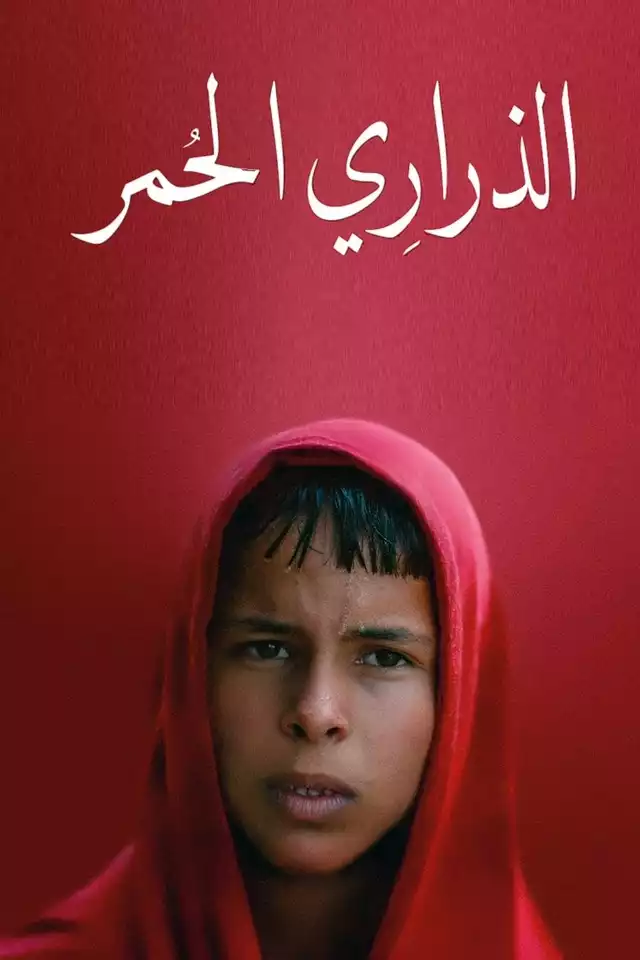 movie vertical poster fallback