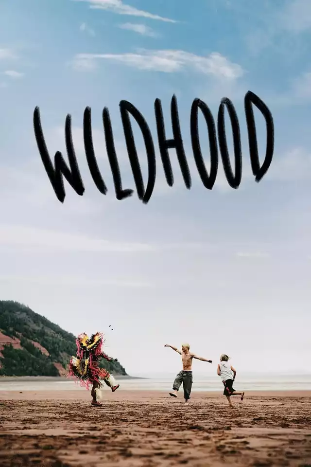 movie vertical poster fallback