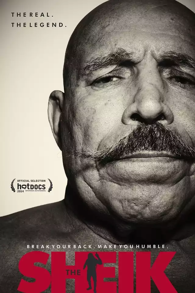 movie vertical poster fallback