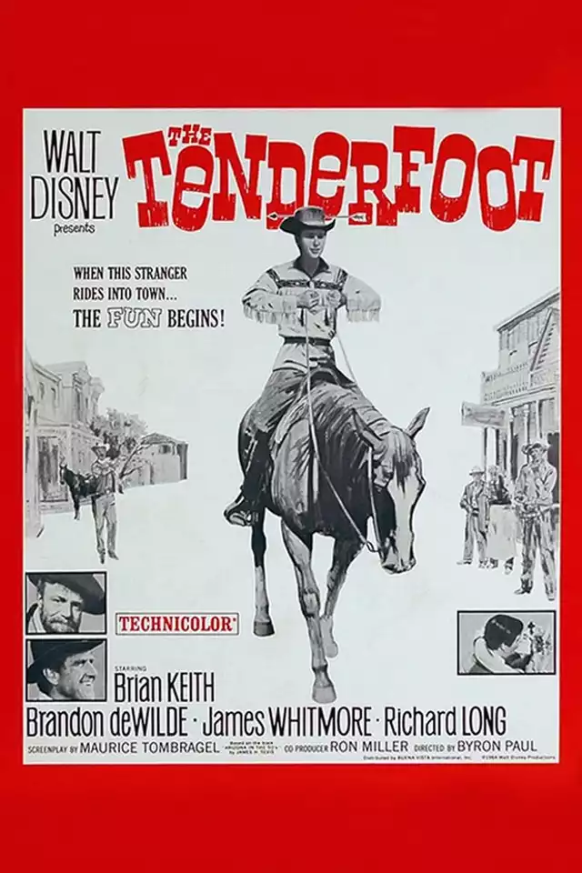 movie vertical poster fallback
