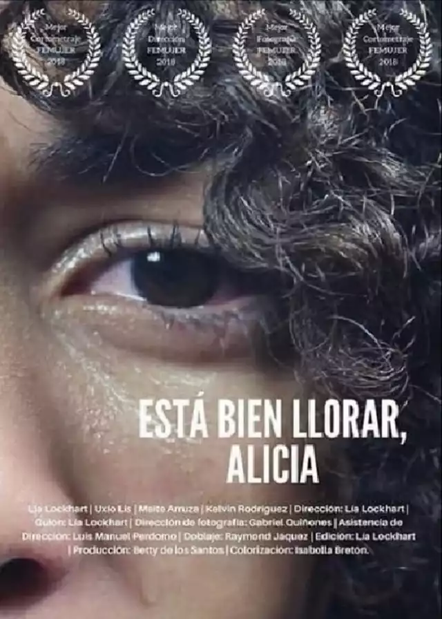 movie vertical poster fallback