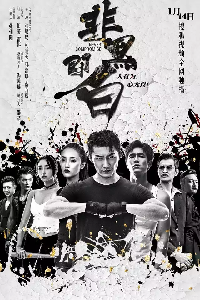 movie vertical poster fallback