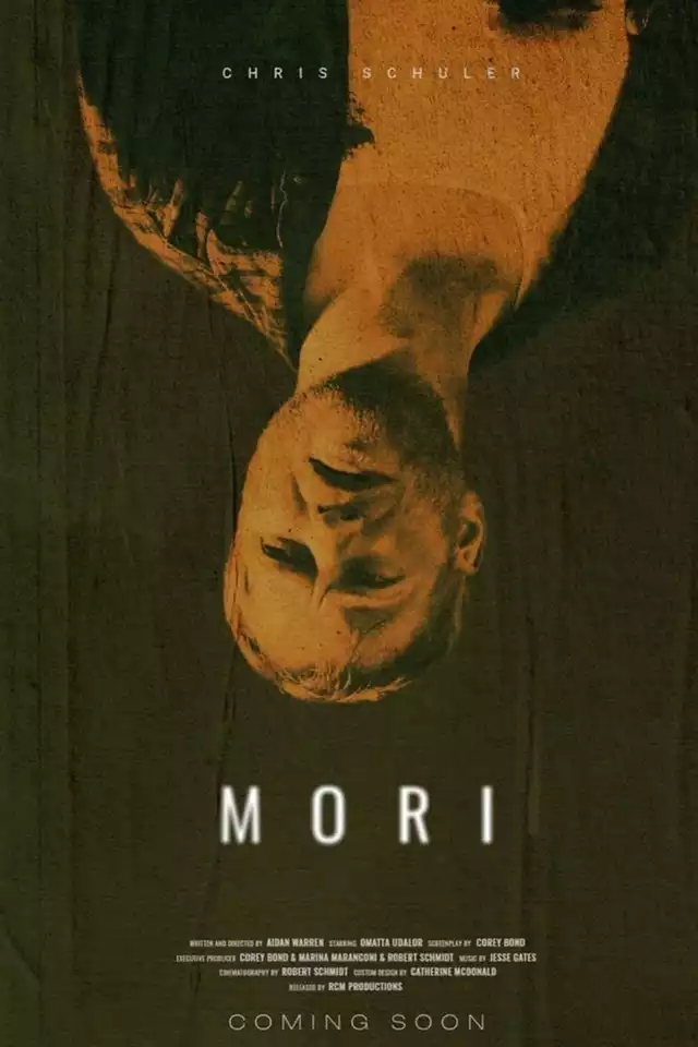 movie vertical poster fallback