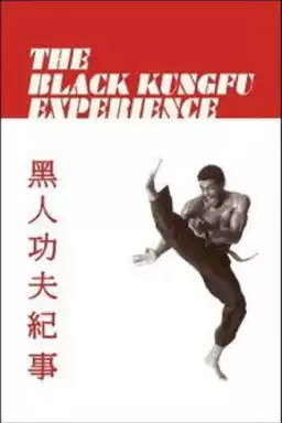 The Black Kung Fu Experience