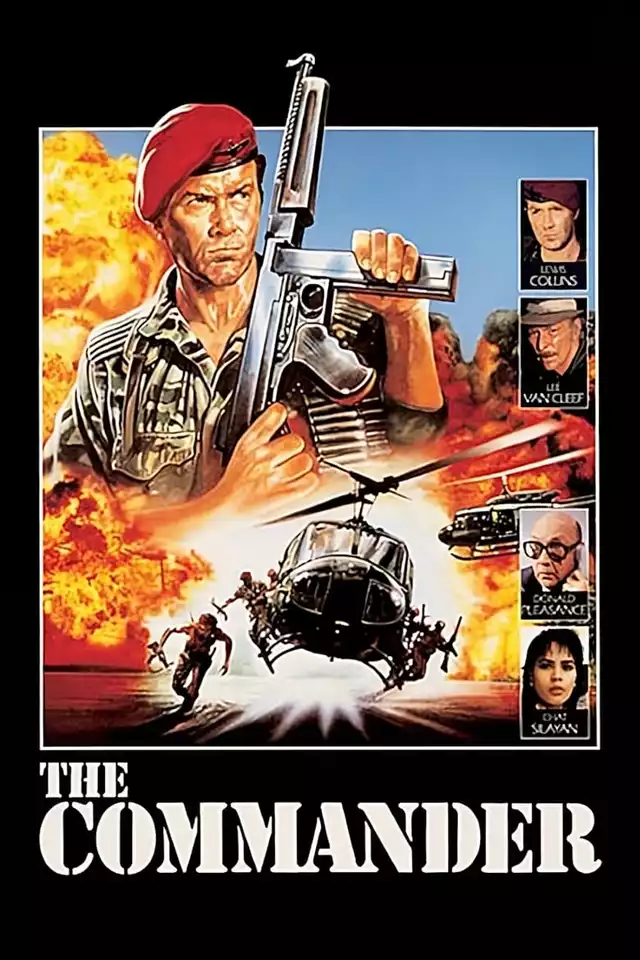 movie vertical poster fallback