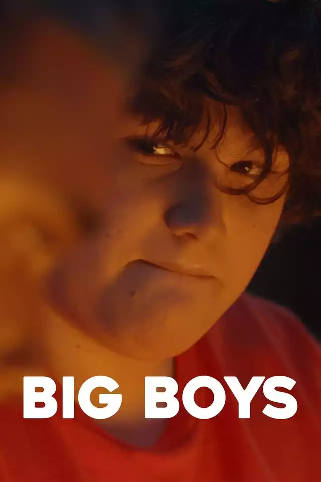 movie vertical poster fallback