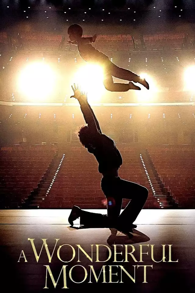 movie vertical poster fallback