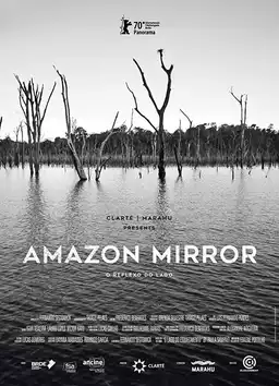 Amazon Mirror