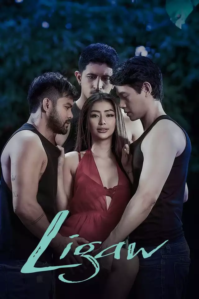 movie vertical poster fallback