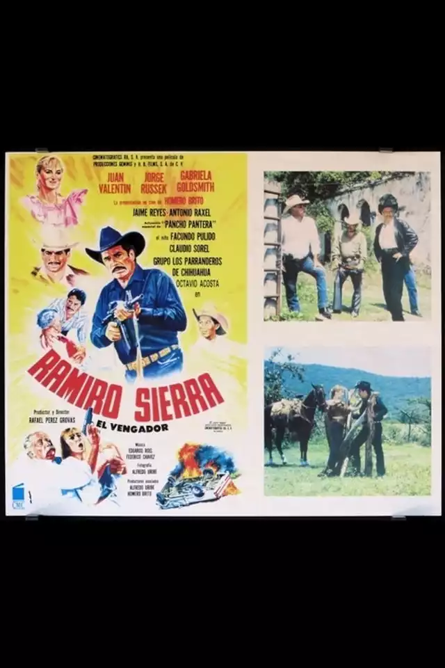 movie vertical poster fallback