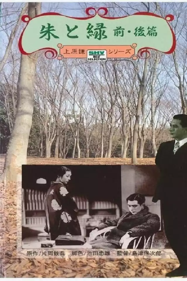 movie vertical poster fallback