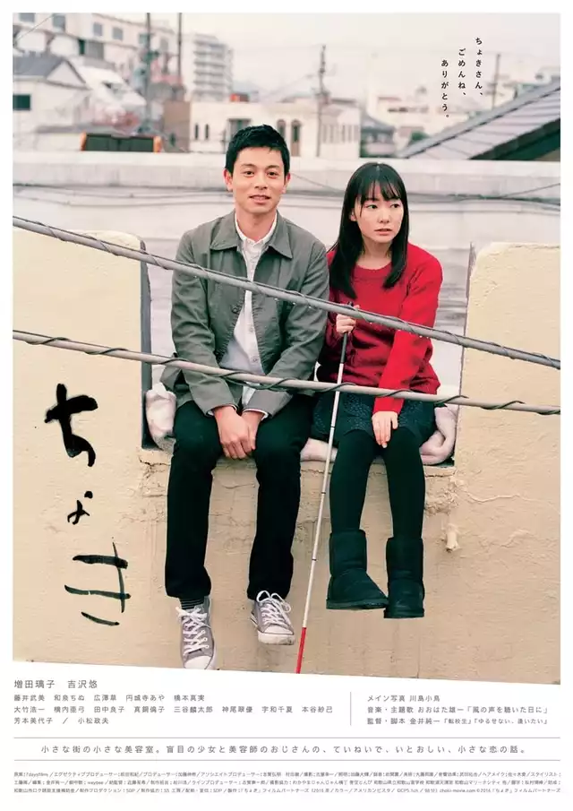movie vertical poster fallback