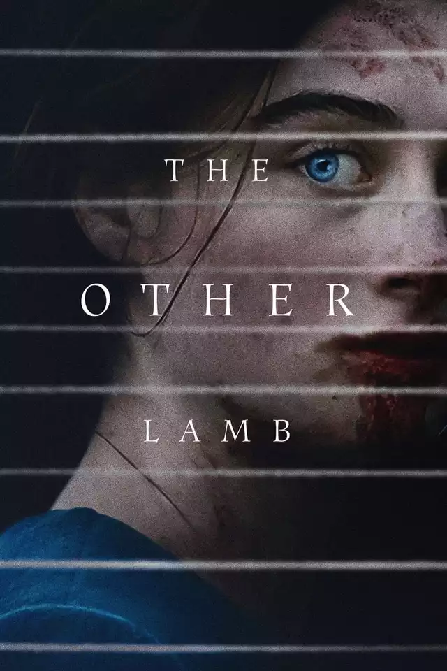 movie vertical poster fallback