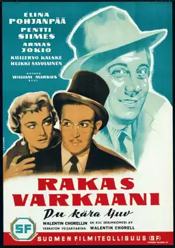 Rakas varkaani