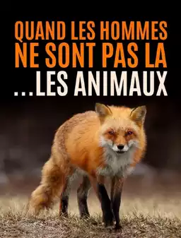 Quand l’homme n’est pas là... les animaux dansent !